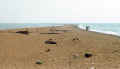 Walk to the southernmost tip of mainland Canada at Point Pelee National Park