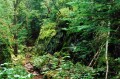 Pukaskwa National Park has a natural setting almost untouched by humans